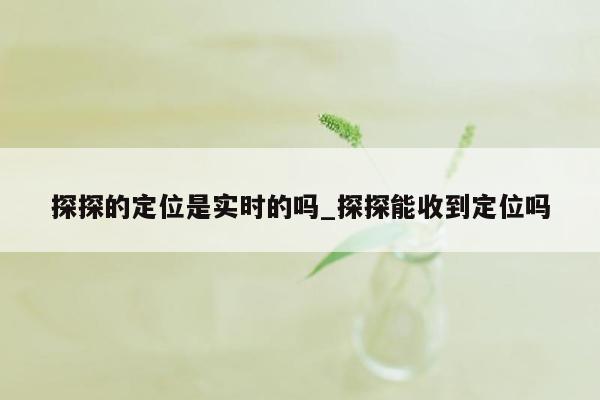 探探的定位是实时的吗_探探能收到定位吗