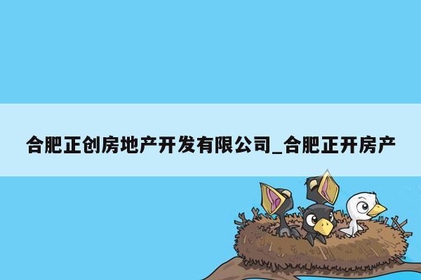 合肥正创房地产开发有限公司_合肥正开房产