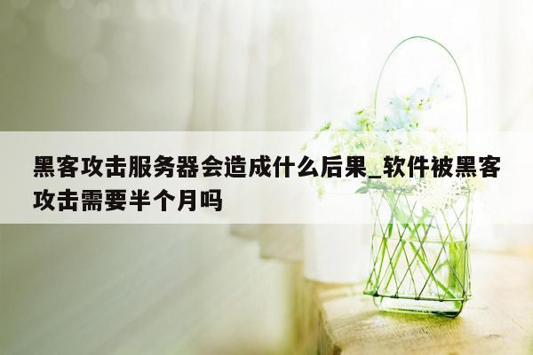 黑客攻击服务器会造成什么后果_软件被黑客攻击需要半个月吗