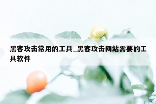 黑客攻击常用的工具_黑客攻击网站需要的工具软件