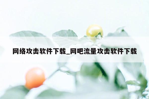 网络攻击软件下载_网吧流量攻击软件下载