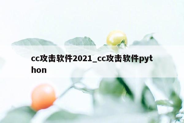 cc攻击软件2021_cc攻击软件python