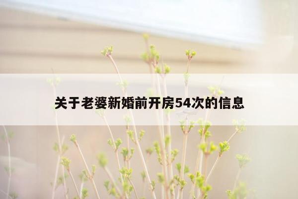 关于老婆新婚前开房54次的信息