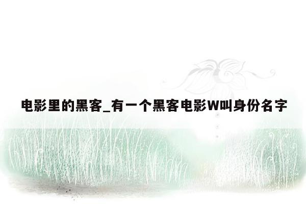 电影里的黑客_有一个黑客电影W叫身份名字