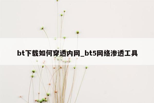 bt下载如何穿透内网_bt5网络渗透工具