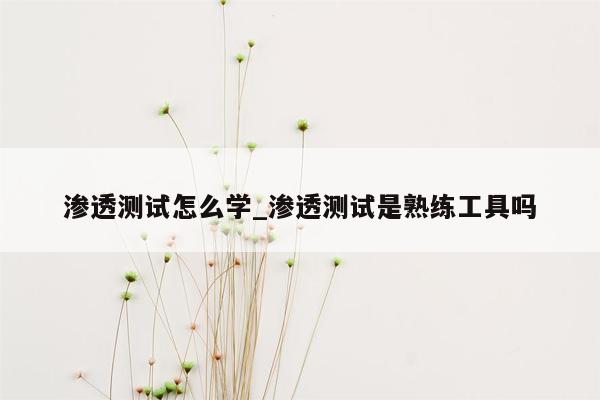 渗透测试怎么学_渗透测试是熟练工具吗