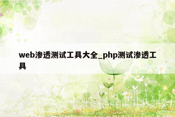 web渗透测试工具大全_php测试渗透工具