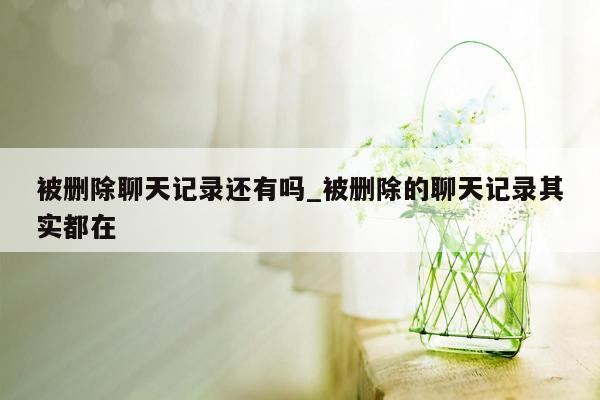 被删除聊天记录还有吗_被删除的聊天记录其实都在