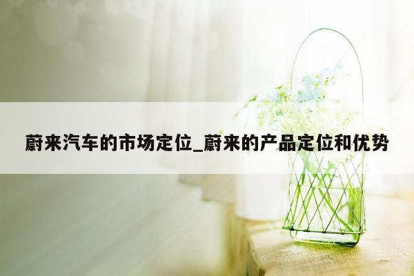 蔚来汽车的市场定位_蔚来的产品定位和优势