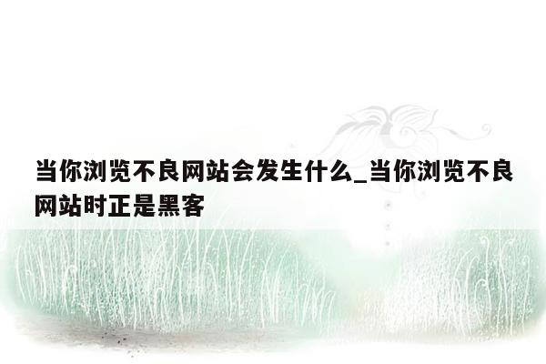 当你浏览不良网站会发生什么_当你浏览不良网站时正是黑客