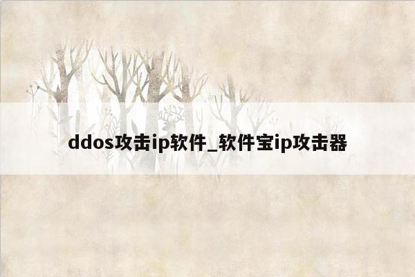 ddos攻击ip软件_软件宝ip攻击器