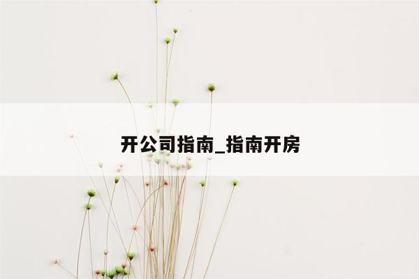 开公司指南_指南开房