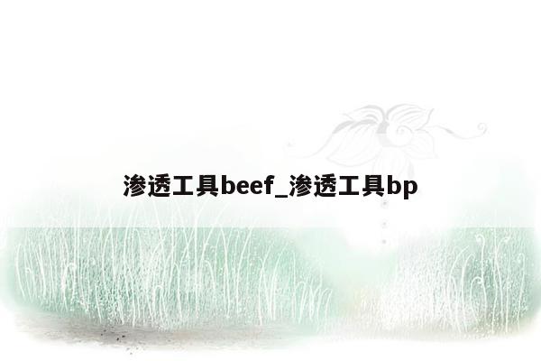 渗透工具beef_渗透工具bp