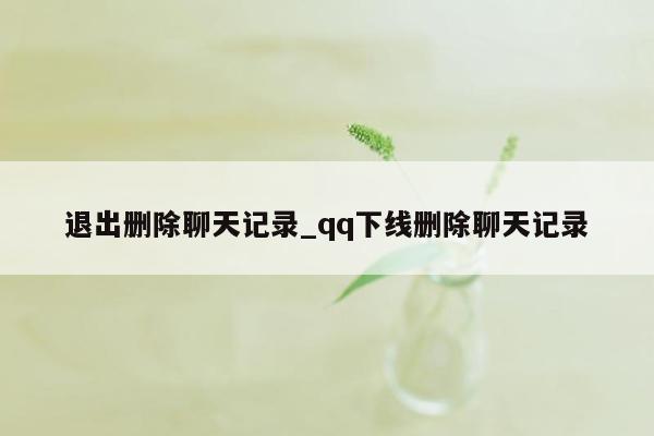 退出删除聊天记录_qq下线删除聊天记录