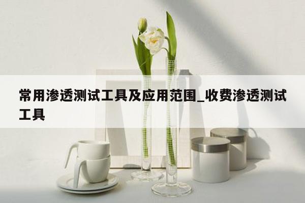 常用渗透测试工具及应用范围_收费渗透测试工具