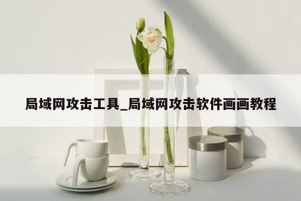 局域网攻击工具_局域网攻击软件画画教程