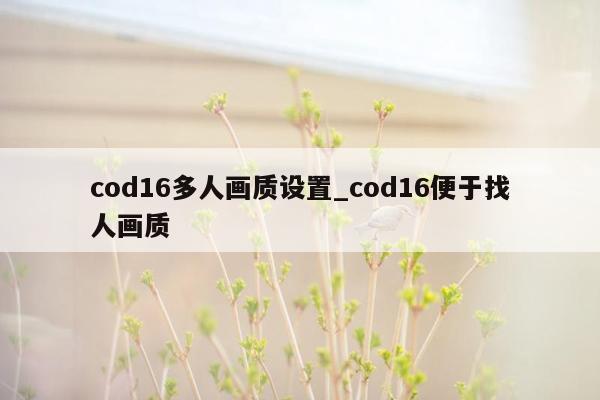 cod16多人画质设置_cod16便于找人画质