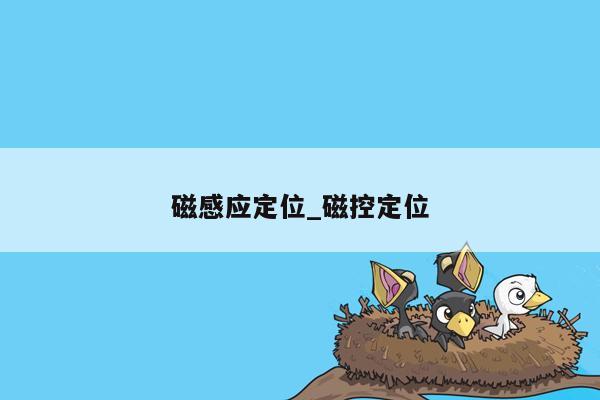 磁感应定位_磁控定位