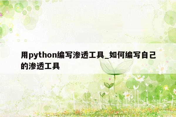 用python编写渗透工具_如何编写自己的渗透工具