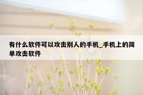 有什么软件可以攻击别人的手机_手机上的简单攻击软件