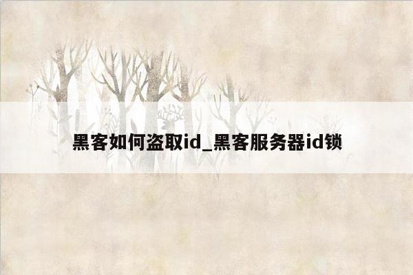 黑客如何盗取id_黑客服务器id锁