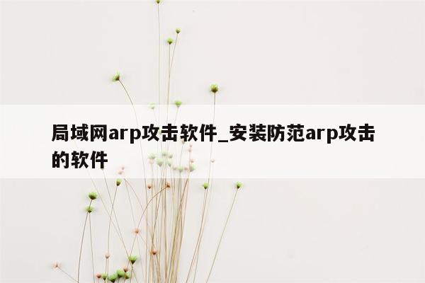 局域网arp攻击软件_安装防范arp攻击的软件