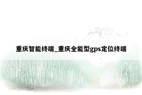 重庆智能终端_重庆全能型gps定位终端