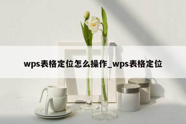 wps表格定位怎么操作_wps表格定位