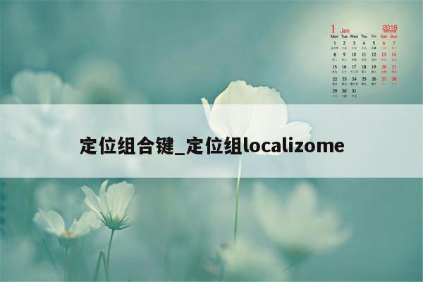 定位组合键_定位组localizome