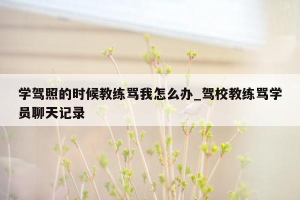 学驾照的时候教练骂我怎么办_驾校教练骂学员聊天记录