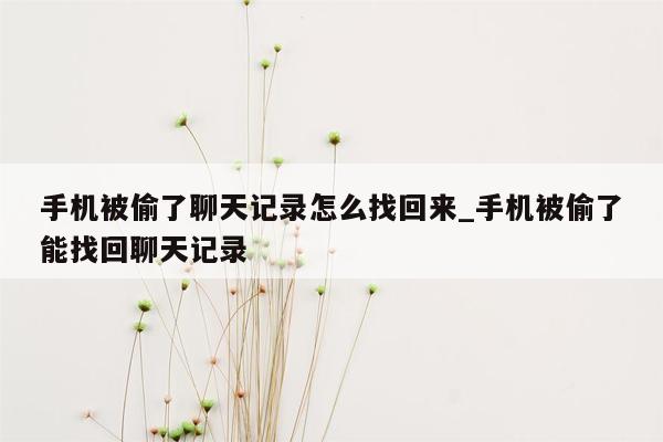 手机被偷了聊天记录怎么找回来_手机被偷了能找回聊天记录