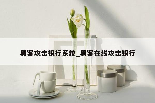 黑客攻击银行系统_黑客在线攻击银行