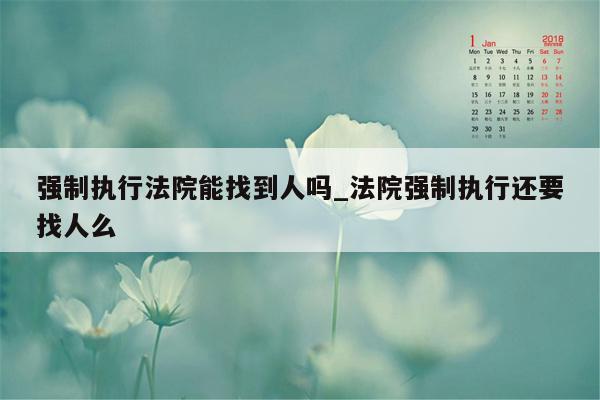 强制执行法院能找到人吗_法院强制执行还要找人么