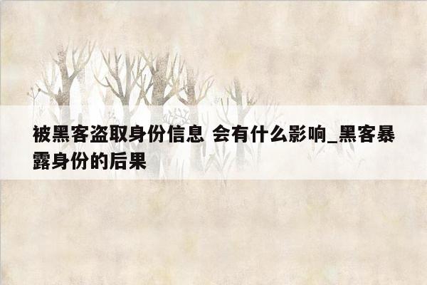 被黑客盗取身份信息 会有什么影响_黑客暴露身份的后果