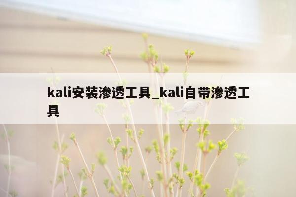 kali安装渗透工具_kali自带渗透工具