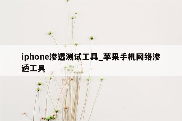 iphone渗透测试工具_苹果手机网络渗透工具