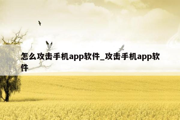 怎么攻击手机app软件_攻击手机app软件