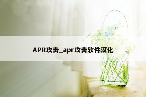 APR攻击_apr攻击软件汉化