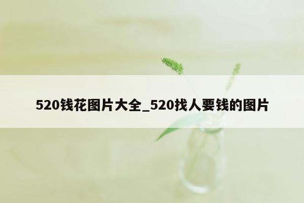 520钱花图片大全_520找人要钱的图片