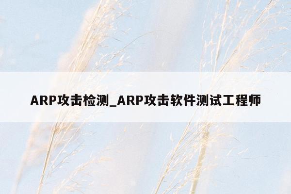 ARP攻击检测_ARP攻击软件测试工程师