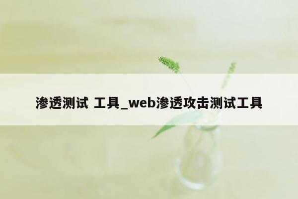 渗透测试 工具_web渗透攻击测试工具