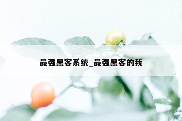 最强黑客系统_最强黑客的我