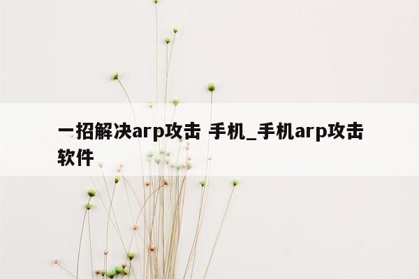 一招解决arp攻击 手机_手机arp攻击软件