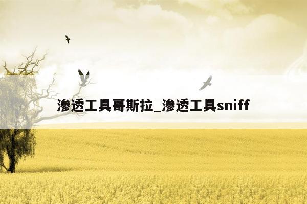 渗透工具哥斯拉_渗透工具sniff