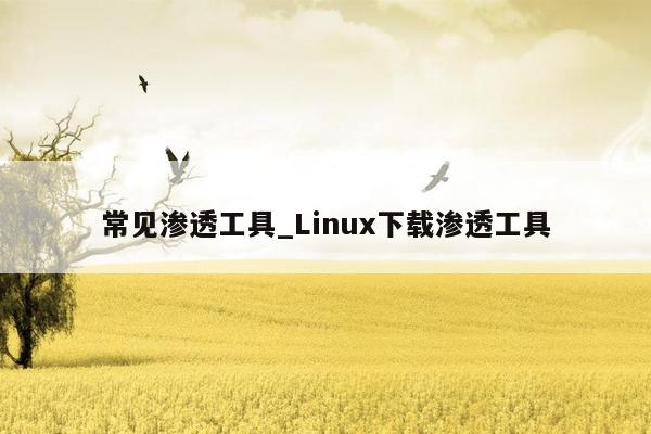 常见渗透工具_Linux下载渗透工具