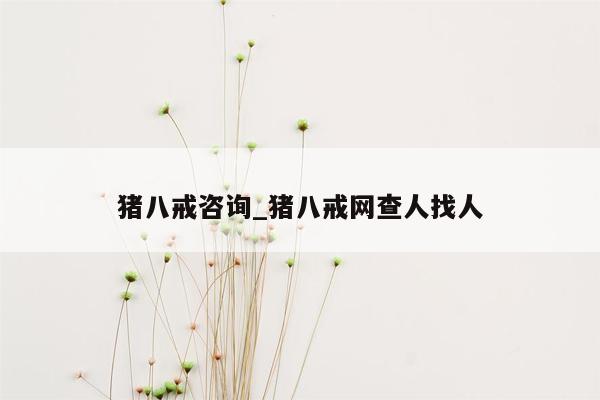 猪八戒咨询_猪八戒网查人找人