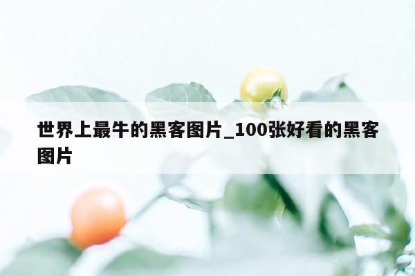 世界上最牛的黑客图片_100张好看的黑客图片