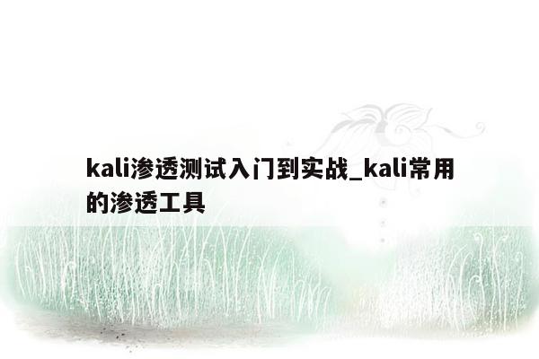 kali渗透测试入门到实战_kali常用的渗透工具