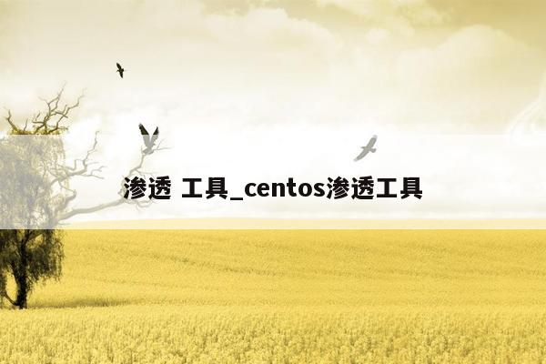 渗透 工具_centos渗透工具