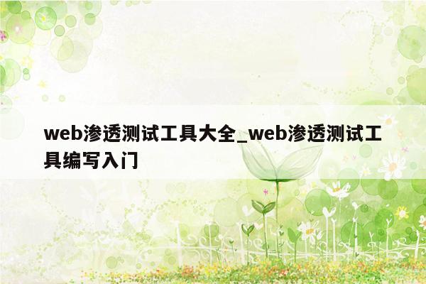 web渗透测试工具大全_web渗透测试工具编写入门